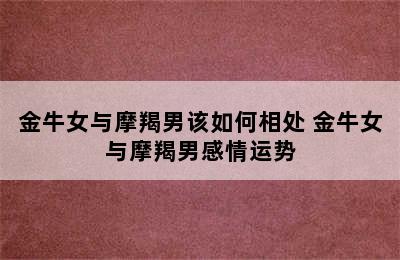 金牛女与摩羯男该如何相处 金牛女与摩羯男感情运势